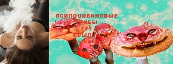 прущий лед Белокуриха