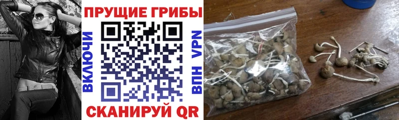Псилоцибиновые грибы мицелий Кулебаки