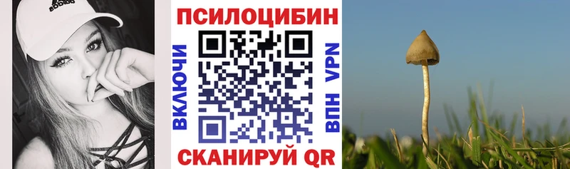Галлюциногенные грибы MAGIC MUSHROOMS  Кулебаки 